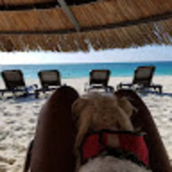 melissawilli670